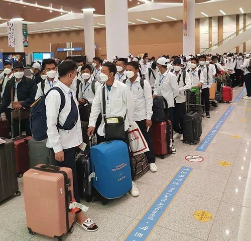 因私出入境中介服務 架設個人海外出行的專業橋梁